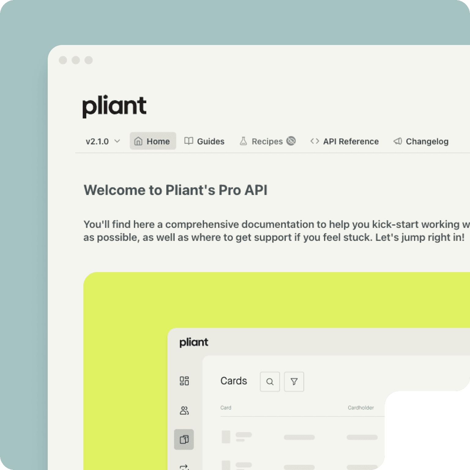 Pro API documentation